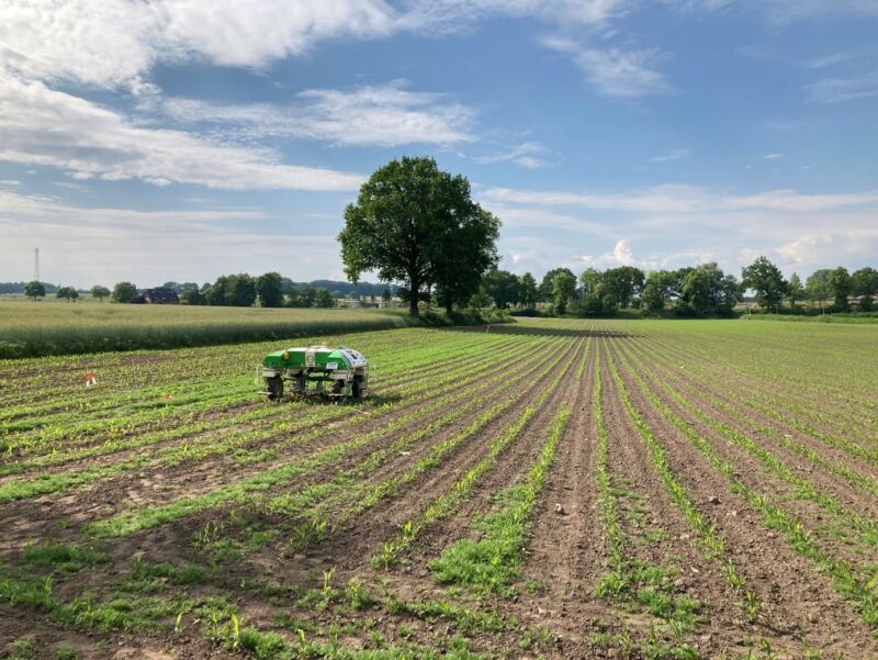 Feldtag auf Hof Langsenkamp 1 Bild1 5